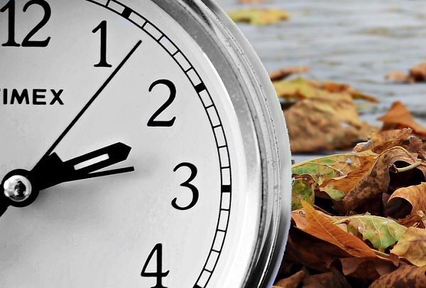 Kép: Pixabay