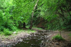 kisvasút, környezetvédelem, természetvédelem kisvasút, környezetvédelem, természetvédelem