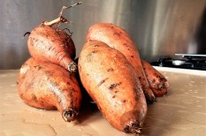 egészség, élelmiszer, genetika, idős kor, táplálkozás egészség, élelmiszer, genetika, idős kor, táplálkozás