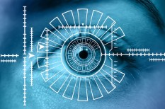adatvédelem, biometrikus azonosítás, gdpr, jog, munkahely, személyes adat adatvédelem, biometrikus azonosítás, gdpr, jog, munkahely, személyes adat
