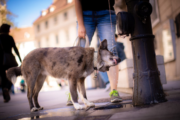 © TOW_Christian Houdek