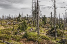 éghajlat, hőség, klíma, szárazság, vízgazdálkodás, wwf éghajlat, hőség, klíma, szárazság, vízgazdálkodás, wwf